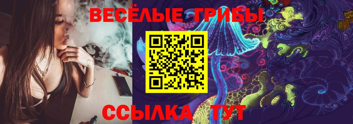 Кызыл  Галлюциногенные грибы MAGIC MUSHROOMS  Псилоцибиновые грибы Psilocybine cubensis  Вход с VPN 